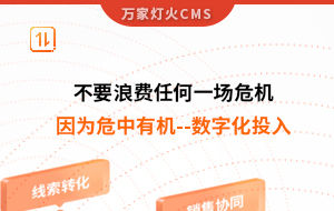 不要浪費任何一場危機，因為危中有機--數(shù)字化投入