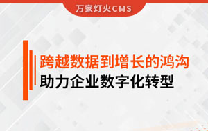 跨越數據到增長的鴻溝，助力企業數字化轉型